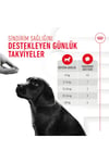 Royal Canin Immunity&digestion Chews Bağışıklık ve Sindirim Sistemini Destekleyen Tamamlayıcı Ödül Maması 100 G