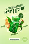 Fit Matcha Shot 24'lü Paket Formda Kal Bitki Bazlı İçecek 60 Ml