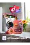 Arex Renkliler için Sıvı Çamaşır Deterjanı 42 Yıkama 2520 Ml