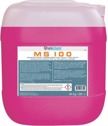 Ms 100