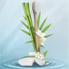 Oral-b Pro-expert Crossaction Antiplak Bambu Diş Fırçası Manuel Orta