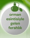 Dalin Bebek Orman Esintisi Kolonyası 150 ml