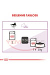 Royal Canin Sterilised Jelly Kısırlaştırılmış Yetişkin Kedi Yaş Maması 85 Gr X 12