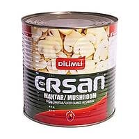 Ersan Dilimli Mantar Konservesi 2650 Gr