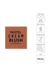 Pastel Profashıon Krem Allık 45
