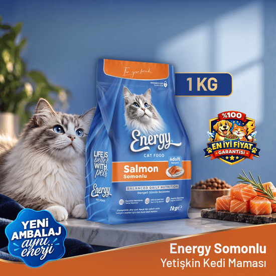 Energy Somonlu Kedi Maması - 1 Kg
