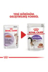Royal Canin Sterilised Gravy Kısırlaştırılmış Yetişkin Kedi Konservesi 85 Gr X 12