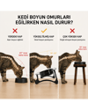 Atapet Kedi Mama Kabı, Kedi Köpek Mama ve Su Kabı, Çift Kaseli 15° Eğimli Yükseltilmiş Mama Kabı Siyah