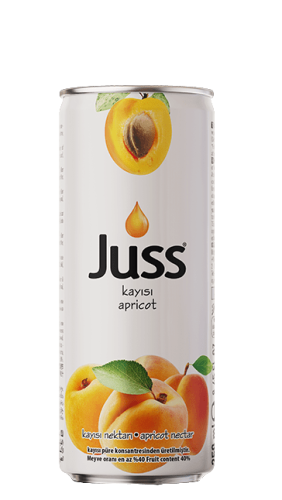 Juss Teneke Kayısı 250 Ml Meyve Suyu 24 Adet