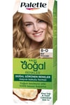 Palette Doğal Renkler Saç Boyası 8-0 Bal Köpüğü 50ml