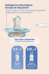 Wee Baby Duo Simetrik Uçlu Emzik 6-18 Ay No:2 (mavi - Kahve)