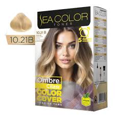 SEA COLOR SET 10.21B OMBRE CİLASI