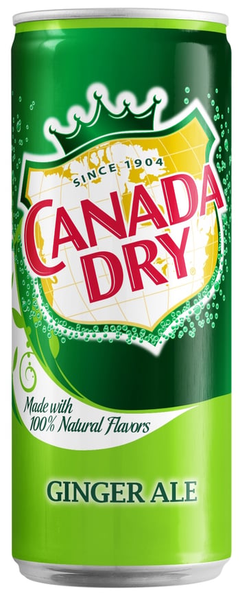 Canada Dry Ginger Ale 330ml Zencefil Aromalı Gazlı İçecek