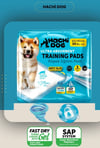 Hachi Dog Köpek Eğitim Pedi 30lu 60*90 Cm