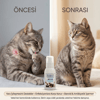 Bioxi® Animal Health + Plus 100 Ml Jel - Kulak,deri ve Yara Bakımı