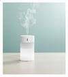 Oda Nemlendirici ve Buhar Makinesi 260 ml (Micro USB)