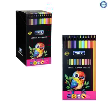 Trix Metalik Siyah 12 Li Kuru Boya