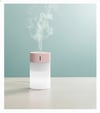 Oda Nemlendirici ve Buhar Makinesi 260 ml (Micro USB)
