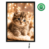 Magneco Ledbox Tek Taraflı Işıklı Çerçeve B2