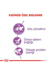 Royal Canin Sterilised 37 4 Kg Kısırlaştırılmış Kuru Kedi Maması