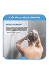 Batçı Yağlı Saçlar için Dengeleyici Yağlanma Karşıtı Şampuan 500 Ml