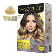 SEA COLOR SET 9.3H OMBRE CİLASI