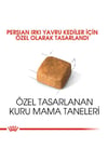 Royal Canin Persian Kitten Iran Yavru Kedi Maması 2 Kg