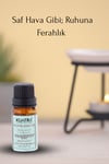 Kuatra Ökaliptüs Uçucu Yağı 10ml