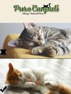 Purecanpati Catnipli Matatabi Stick – Kedi Diş Kaşıyıcı Oyuncak