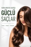 Agarta Doğal Şampuan At Kuyruğu 400ml (2630)