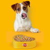 Pedigree Sığırlı Konserve Yaş Mama 400 gr