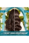 Herbal Essences Onarıcı Argan Yağı Oil Elixir 95ml