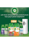 Air Wick Kırmızı Orman Meyveleri Oda Kokusu Freshmatic Yedek Spreyi 6x250 Ml