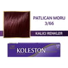Koleston Tüp Boya 50 Ml - 3.66 Patlıcan Moru + 20 Vol Oksidan Peroksit