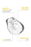 The Purest Solutions Leke Karşıtı Arbutin Cilt Bakım Serumu 30 Ml (arbutin %2 + Hyaluronic Acid)