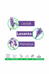 Puretext Puretex Yüzey Temizlik Havlusu Mor Bitkiler 100 Yaprak