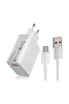 Adeyo Store 67w Hızlı Şarj Aleti | Type-c & Usb Çıkışlı Laptop – Telefon – Tablet Uyumlu Akıllı Güvenlik Çipli