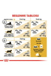 Royal Canin British Shorthair Yetişkin Kedi Maması 2 Kg + 2 Adet Pouch Hediyeli