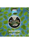 SWEET FRESH NANE AROMALI ŞEKERSİZ ŞEKER 10 GR