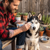 Bioxi® Animal Health Hijyenik ve Çok Amaçlı Temizleme Mendili,tekli Ambalajlarda 30 Lu Paket