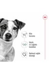 Royal Canin Mini Adult Köpek Maması 2 Kg + 2 Adet Yaş Mama Hediye