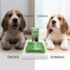 Bioxi® Animal Health Hijyenik ve Çok Amaçlı Temizlik Havlusu,tekli Ambalajlarda 5li Paket