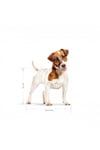 Royal Canin Mini Adult Köpek Maması 2 Kg + 2 Adet Yaş Mama Hediye