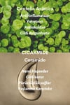 Dermal Cica X Mide Cleanser Oil Centella Asiatica ve Seramid Özlü