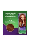 Koleston Natural 6/34 Bakır Kumral Saç Boyası