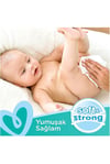Prima Pampers Baby Islak Havlu Fresh Clean 52li*12 Adet