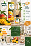 Greenworld Bambu Çubuklu Oda Kokusu - Parfümü Mango 100 Ml