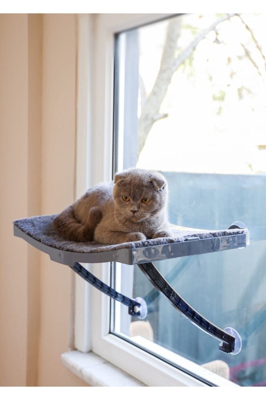 Ata Home Yeni Model Cam ve Duvar Için Kedi Yatağı Vantuzlu