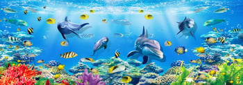 Nova Puzzle 1000 Parça Denizin Derinliklerinde (akvaryum) Puzzle