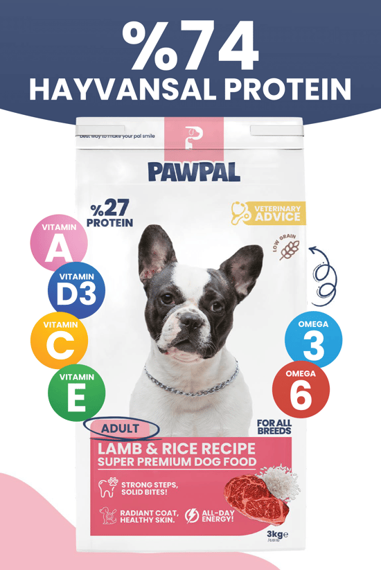 Kuzu Eti ve Pirinçli Süper Premium Yetişkin Köpek Maması 3kg